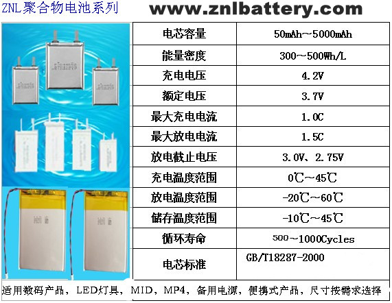 Polymer Li-ion Batteries