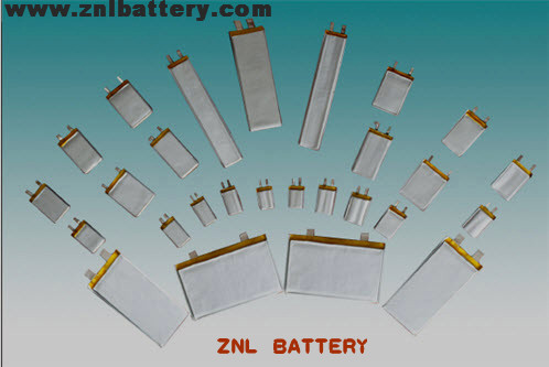 Polymer Li-ion Batteries