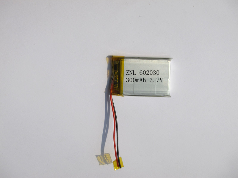 Point reading pen polymer battery