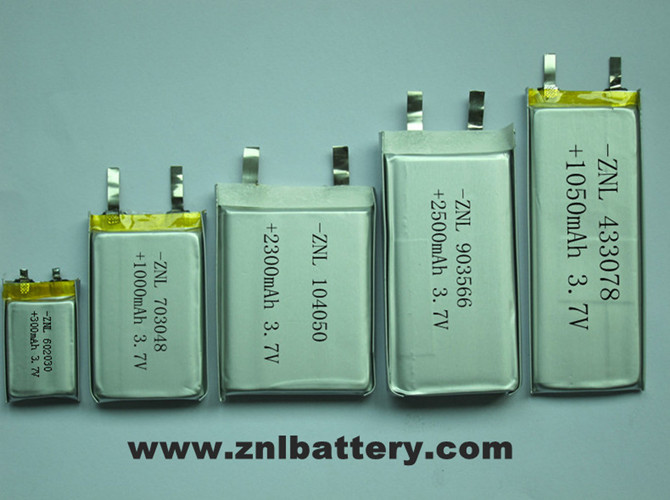 Point reading pen polymer battery