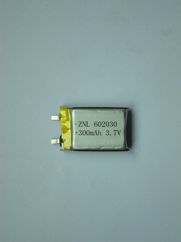 Point reading pen polymer battery